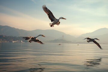 Sticker - A group of birds soaring gracefully together in the sky over a vast body of water., A squadron of pelicans gliding over a peaceful bay, AI Generated