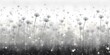 dandelion meadow abstract black and white