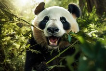 Portrait Of A Giant Panda Eating Bamboo Leaves In The Forest, Face Of A Panda Chewing On Bamboo, AI Generated