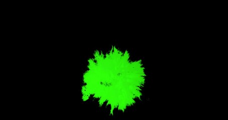 Wall Mural - abstract paint brush stroke shape white ink splattering flowing and washing on chroma key green scre
