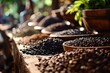 Fair Trade Coffee Initiatives: Showcase scenes from fair trade coffee initiatives globally, emphasizing the importance of ethical and sustainable practices in the coffee industry	
