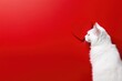 Portrait of a cute little domestic cat on a red background with love heart.