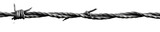 Barbed wire. Boundary fence, protection isolated on transparent background