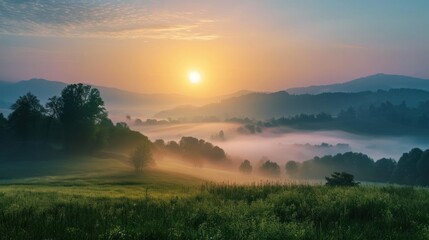 Sticker -  the sun is setting over the mountains in a foggy valley with trees in the foreground and a field of grass in the foreground.