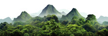 Lush Green Tropical Rainforest Landscape With Misty Mountains At Dawn, Cut Out