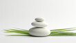 Zen Steine Gräser Meditation Wellness weiß minimalistisch