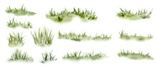 Set Of Watercolor Grass. Hand Drawn Light Green Withered Herb Pattern In The Sun. Sketch Abstract Burnt Spring Fresh Grass Kit. Illustration On Isolated White Background