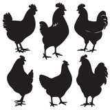 Fototapeta Pokój dzieciecy - A black silhouette Chicken set, Clipart on a white Background, Simple and Clean design, simplistic