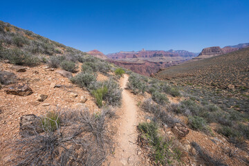 Wall Mural - hiking the tonto trail in the grand canyon national park, arizona, usa