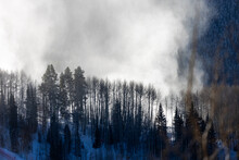 Snow Fog In Vail Colorado