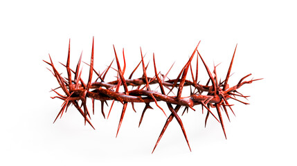 Wall Mural - Christian Context of Holy Week. White background. The crown of thorns of Jesus of Nazareth. Easter. Selective focus
