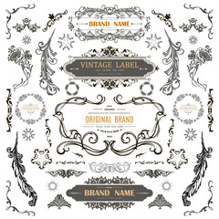 Wall Mural - set of vintage decorations flourishes elements.