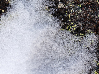 Wall Mural - Lichen stone in the snow. Natural winter background. Closeup top view. The nature of the Arctic. Polar region.