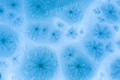 © ADDICTIVE STOCK - Frost patterns on blue winter background