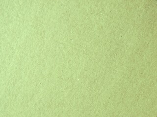 Wall Mural - green paper texture