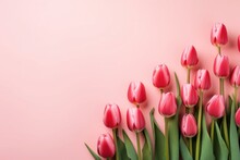  A Line Of Red Tulips Creates A Vibrant Edge On A Soft Pink Background