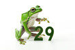 Green Frog with 29 numbers. 29 february leap year day idea