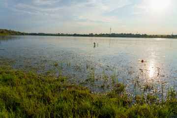 Wall Mural - Lake or pond. Background with selective focus and copy space