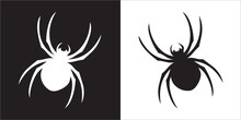 Illustration Vector Graphics Of Spider Icon