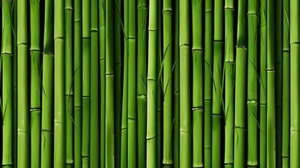  green bamboo texture background. Green bamboo wall texture background.