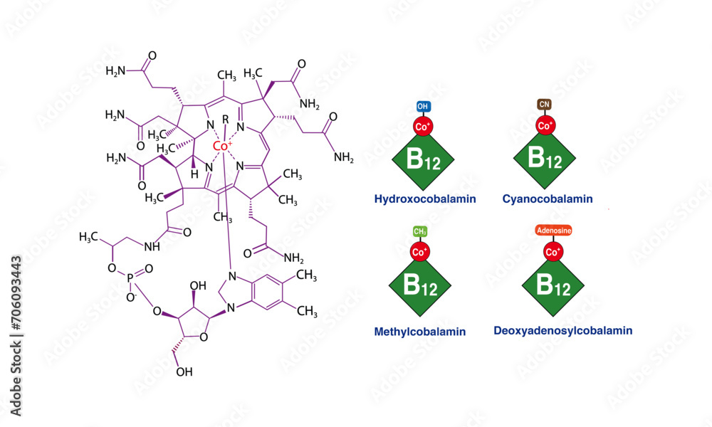 Vitamin B12 chemical forms Stock Vector | Adobe Stock