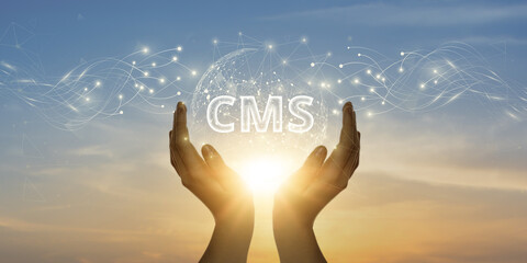 Wall Mural - cms - content management system concept for blog promotion, data administration, and website optimiz