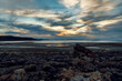 Sunset along a rocky ocean seashore - panorama