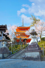 Poster - Kiyomizu-dera temple in Kyoto, Japan with beauiful full bloom sakura cherry blossom in spring