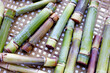 Fresh sugar cane on bamboo weave plate
