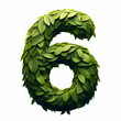 The number 6 is made out of leaves, leaves number, on a White background, isolated on white, photorealistic