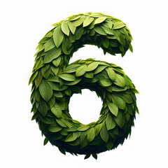 Wall Mural - The number 6 is made out of leaves, leaves number, on a White background, isolated on white, photorealistic