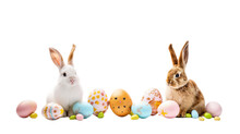 Easter Bunny And Easter Eggs Isolated On White Transparent Background