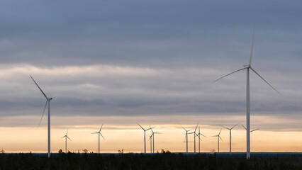 Wall Mural - Windmills on a cold winter morning with moody sky in the background