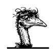 Peeking ostrich Emu Stencil - Peeking Animal Cut file, Funny Animal Stencil