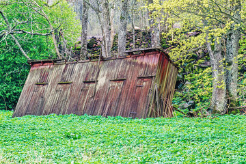 Poster - Old outhouse by the forest in bad conditions