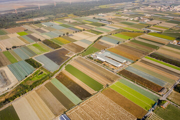 Sticker - colorful farm with vegetables and rice