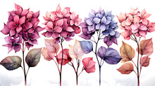 Hydrangea Flowers Bouquets In Delicate Pastel Rose Pink, Beige, Purple Colors