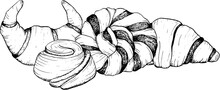 Pastry Croissants And Cinnamon Chocolate Braided Buns Vector Graphic Ink Illustration For Breakfast And Coffee Break Designs. Delicious Fresh Food From Bakery