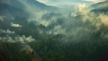 The Once Tranquil Canopy Of Green Is Now A Perilous Inferno, As The Aerial View Captures The Dangerous Spread Of The Wildfire Through The Forest.