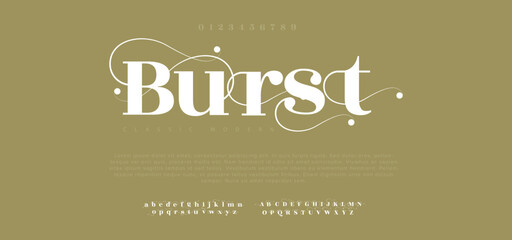 Poster - Burst Modern minimal abstract alphabet fonts
