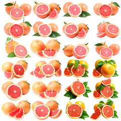 Sticker - Set of grapefruit isolated