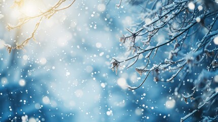 Wall Mural - snow covered branches snowy background on light blue background