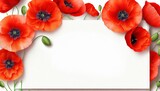 Fototapeta  - Biała kartka z miejscem na tekst otoczona czerwonymi kwiatami maków