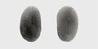 Finger print fingerprint lock secure security logo icon template, White background with isolated fingerprint, Detailed fingerprints flat illustration set, Fingerprint outline isometric silhouette, 


