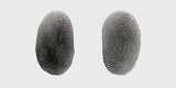 Fototapeta Boho - Finger print fingerprint lock secure security logo icon template, White background with isolated fingerprint, Detailed fingerprints flat illustration set, Fingerprint outline isometric silhouette, 


