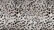 © Pixel Pine - Snow leopard fur seamless pattern. Repeated background of fluffy texture.