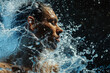 Athletic male figure surrounded by water, close up portrait, concept of strength, freedom, energy, freshness.