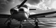 A black and white photo of a small plane. Can be used for aviation-related projects or vintage-themed designs