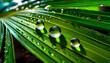 Liść palmy z kroplami wody, dekoracyjne tło, tekstura, generative ai