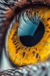© Fotograf - A close-up view of a yellow eye. This image can be used for various purposes